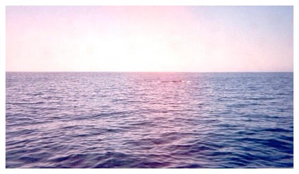 whwa2_35.jpg