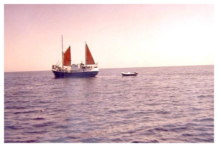 whwa5_38.jpg