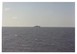 w_25.jpg