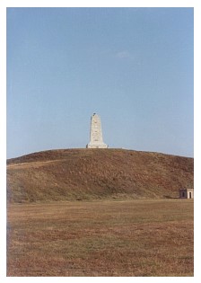 zq_44.jpg